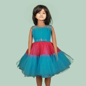 SF-104 Fancy Net Frock