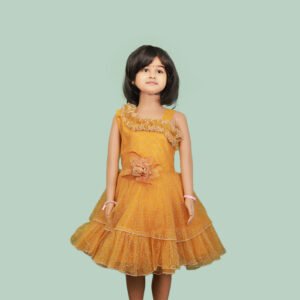 SF-124 - Double Layered Party Wear Frock
