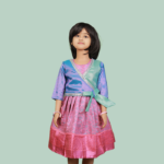 Fancy Pattu Pink & Blue